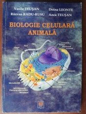 Biologie celulara animala- Vasile Teusan, Doina Leonte foto