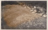 CARTE POSTALA SARMIZEGETUSA ULPIA TRAIANA AEDES AUGUSTALIUM: Foisorul cu mozaic, Necirculata, Fotografie