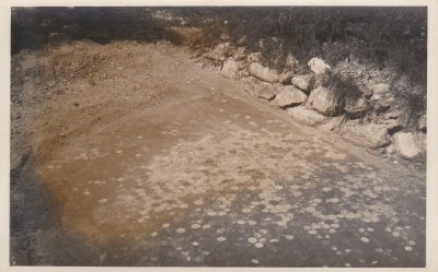 CARTE POSTALA SARMIZEGETUSA ULPIA TRAIANA AEDES AUGUSTALIUM: Foisorul cu mozaic foto