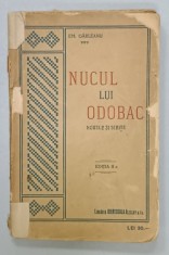 DEDICATIA SOTIEI LUI EMIL GARLEANU , MARILENA EM. GARLEANU PE VOLUMUL &#039; NUCUL LUI ODOBAC &#039; NUVELE de EM. GARLEANU , EDITIE INTERBELICA , PREZINTA P