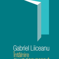 Întâlnire cu un necunoscut - Hardcover - Gabriel Liiceanu - Humanitas