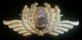 QW14 - Emblema militara / cuc - comunism - aviatie - varianta mica
