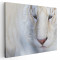 Tablou portret tigru alb Tablou canvas pe panza CU RAMA 60x90 cm