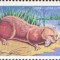 MOLDOVA 1999, Fauna, serie neuzată, MNH