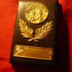 Placheta Sportiva din lemn si metal aurit ,dim.=10,7x7,2cm