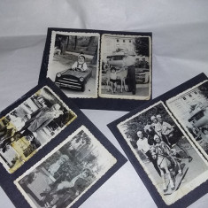 lot 3 file album cu 6 fotografii masinute vechi copii,calut,caprioara,T.GRATUIT