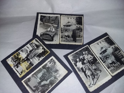 lot 3 file album cu 6 fotografii masinute vechi copii,calut,caprioara,T.GRATUIT foto