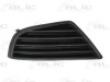 Grila ventilatie, bara protectie FORD MONDEO III (B5Y) (2000 - 2007) BLIC 5513-00-2555923P