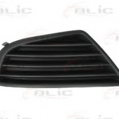 Grila ventilatie, bara protectie FORD MONDEO III Combi (BWY) (2000 - 2007) BLIC 5513-00-2555923P