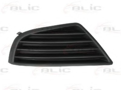 Grila ventilatie, bara protectie FORD MONDEO III Combi (BWY) (2000 - 2007) BLIC 5513-00-2555923P foto