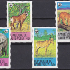 DB1 Fauna Africana Volta Superioara 1979 WWF 6 v. MNH