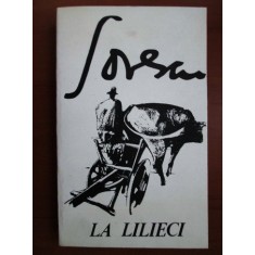 Marin Sorescu - La lilieci
