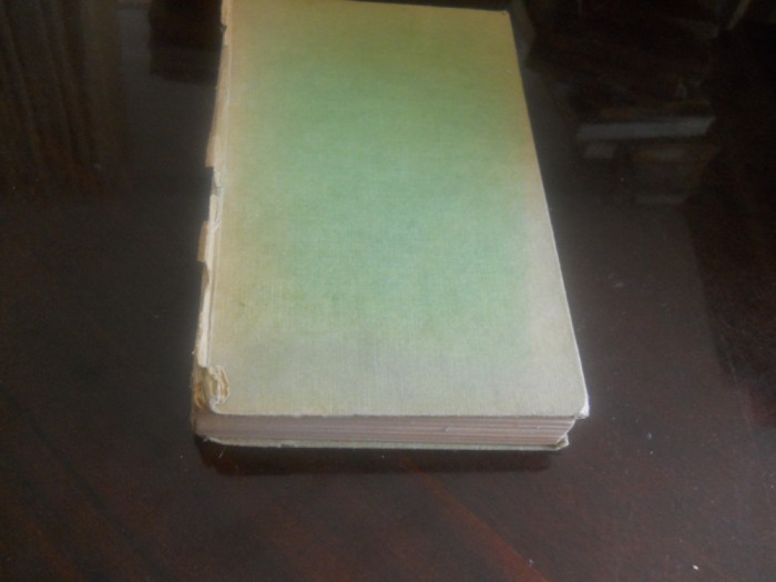 JEAN GIONO - HUSARUL DE PE ACOPERIS ,1966, prefata Const. Ciopraga cartonata