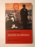 Iolanda Malamen - Antoniu și Kawabata (roman)