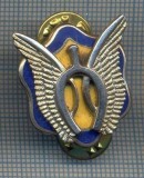 AX 915 INSIGNA-MILITARA - AVIATIE ? -VETERANI? -MADE IN USA -PENTRU COLECTIONARI