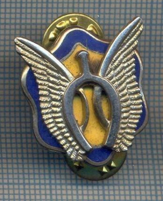 AX 915 INSIGNA-MILITARA - AVIATIE ? -VETERANI? -MADE IN USA -PENTRU COLECTIONARI foto