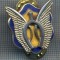 AX 915 INSIGNA-MILITARA - AVIATIE ? -VETERANI? -MADE IN USA -PENTRU COLECTIONARI