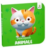 Descopera animale. Carti cu ochisori - Gama