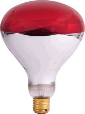 Bec Infrarosu R125 250W E27 Rosu pentru incalzit pui / animale foto