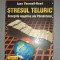 Jane Thurnell-Read - Stresul teluric * Energiile negative ale Pamantului