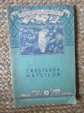 Creșterea mătcilor - I. Barac