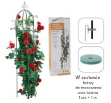 Pergola pentru gradina, cu ancore, arcada pentru plate si flori, 40x40x190cm, JollyMag, PERG-N0309