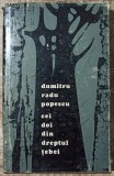 Cei doi din dreptul Tebei - Dumitru Radu Popescu