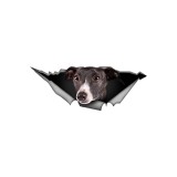 Autocolant auto 25 cm (9.8 inch) cu Greyhound, autocolant amuzant cu Greyhound pentru mașină, autocolant reflectorizant cu Greyhound, autocolant imper