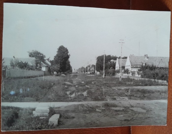 Fotografie, Dudestii Vechi, anii 50