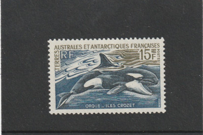 Taaf 1969-Fauna,Balena ucigasa,dantelat,MNH,Mi.52 foto
