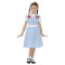 Costum carnaval rochie Dorothy (pentru fete)