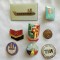 Lot insigne romanesti &ndash; RSR