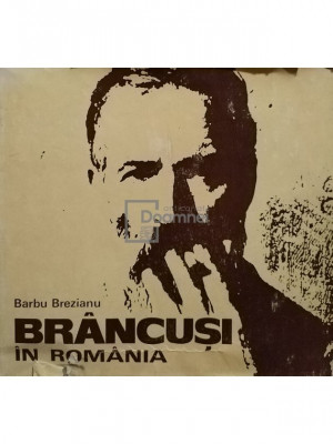 Barbu Brezianu - Brancusi in Romania (editia 1976) foto