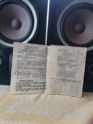 Boxe electronică Industriala foto