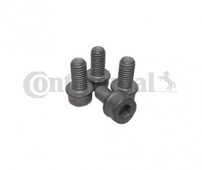 Crankshaft fixing bolts set/kit AUDI A3. A4; FORD GALAXY; SEAT ALTEA. CORDOBA. IBIZA IV. INCA. LEON. TOLEDO II; SKODA FABIA. OCTAVIA. ROOMSTER. SUPERB foto