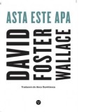 Asta este apa - Anca Dumitrescu, David Foster Wallace