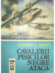 Richard Knott - Cavalerii pisicilor negre ataca (Editia: 1990) foto