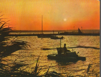 CPI B14632 - CARTE POSTALA - MAMAIA. SIUTGHIOL foto