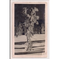 Carte postala circulata in 30 martie 1918