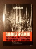 Ileana Silveanu (dedicație) - Cărările speranței: destine ale rezistenței anticomuniste din Banat vol. XI/ 11