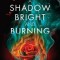 A Shadow Bright and Burning (Kingdom on Fire, Book One)