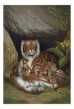 Tablou Canvas, "Tigrișorii alături de părinții lor grijulii", Tigru, Pui, St&acirc;nci, Vegetație, Familie, Blană, Striuri, Natură, Odihnă, Protecție, 26 x