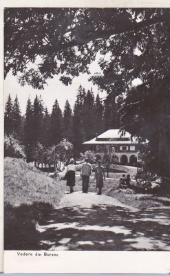 bnk cp Borsec - Vedere - circulata foto