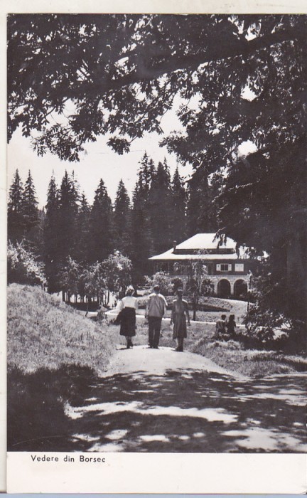 bnk cp Borsec - Vedere - circulata
