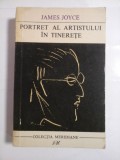 PORTRET AL ARTISTULUI IN TINERETE - JAMES JOYCE