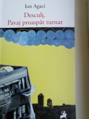 ION AGACI - DESCULȚ. PAVAJ PROASPĂT TURNAT
