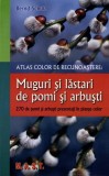 Muguri si lastari pentru pomi si arbusti. Atlas de recunoastere. Bernd Schulz. Editura MAST