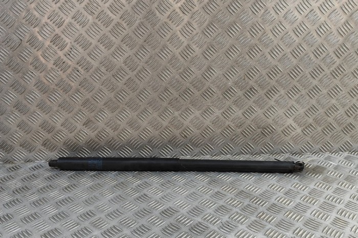 Amortizor haion st&acirc;nga TESLA MODEL S 2018 OEM: 6006611-00-B | 31874448