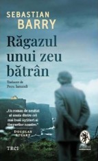 Ragazul unui zeu batran - Sebastian Barry, Trei