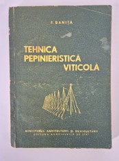 Viticultura Vita de vie P Banita Tehnica pepinieristica viticola